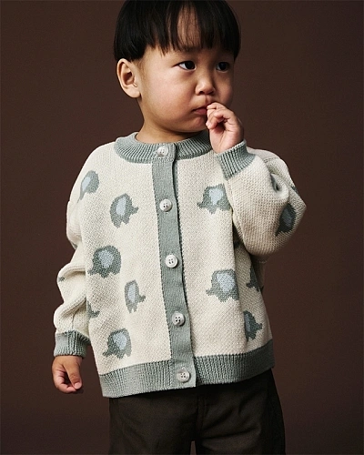 Кардиган детский Loomknits Слоники LW5269