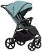 Palm Green