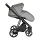 Коляска 2в1 ROAN Sol