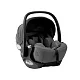 Автокресло группы 0+ Sweet Baby Premier WG06 Pro