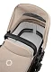 Коляска 2в1 Bugaboo Cub complete