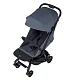 Коляска прогулочная Anex Air-Z