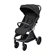 Коляска прогулочная Carrello Nero