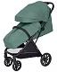 Коляска прогулочная Carrello Nero