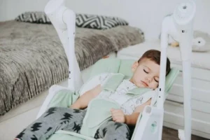 optimize - 2024-09-12T101648.209 Стульчик для кормления Carrello Triumph 23