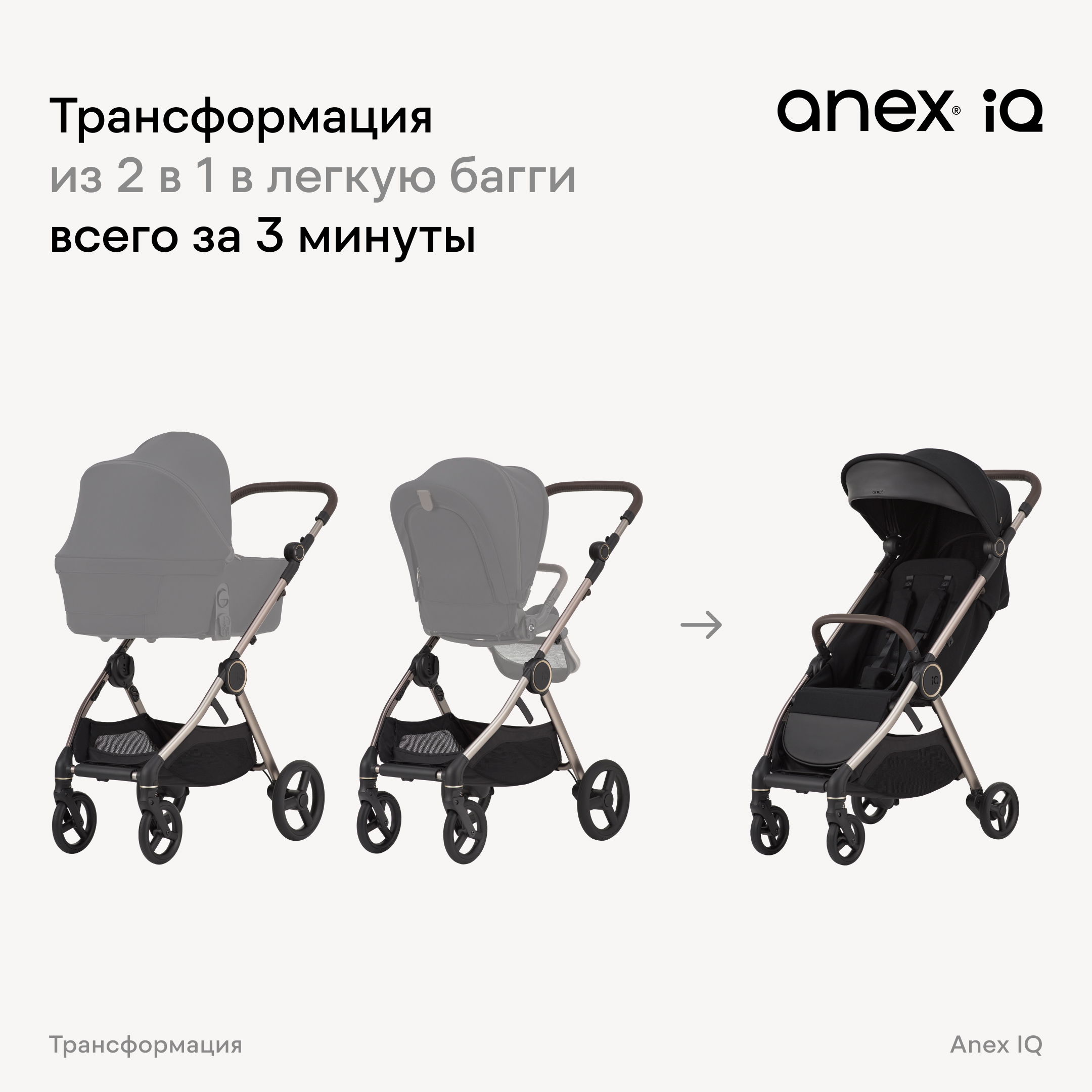 IQ-nt-1 Коляска 2в1 Anex IQ Basic NEW 21