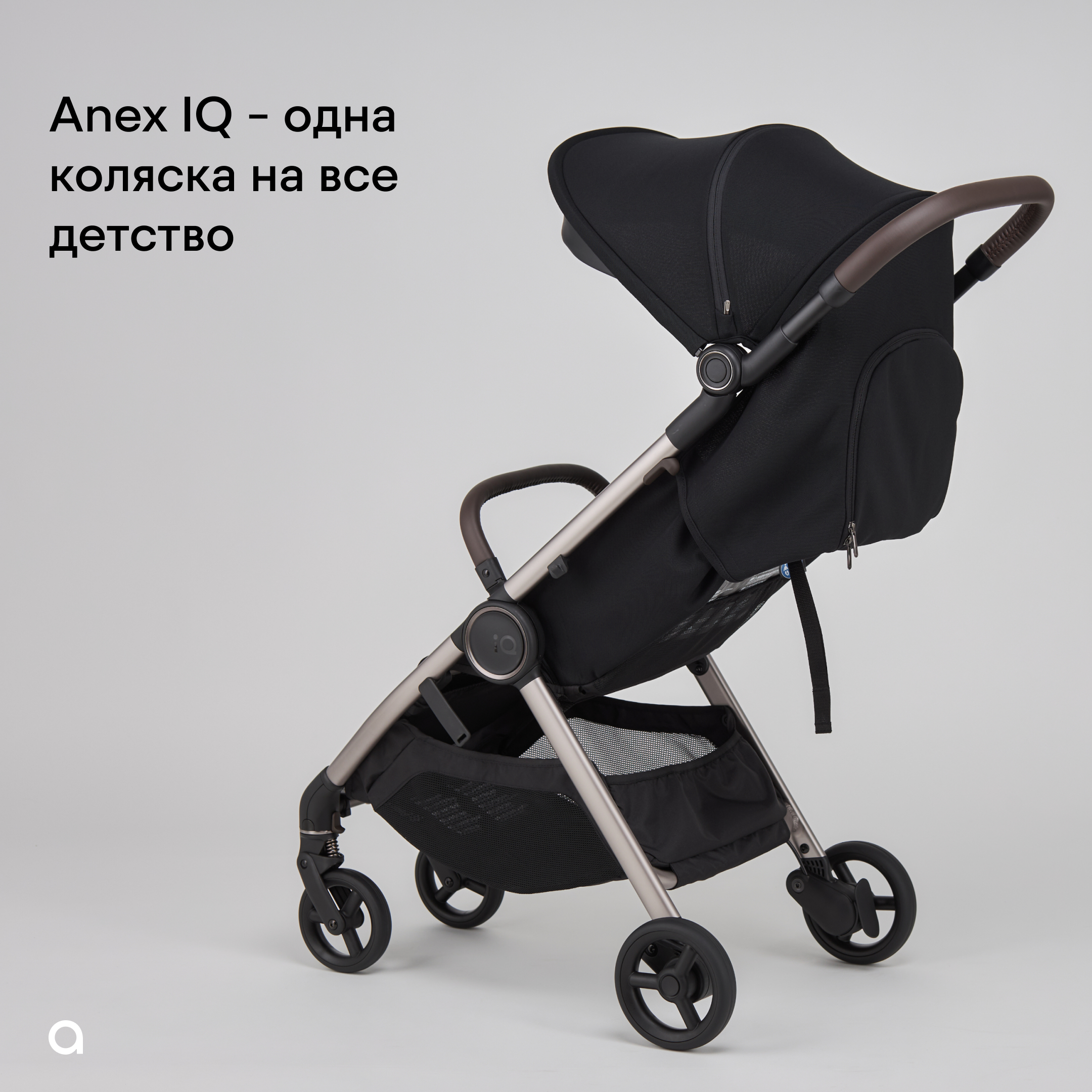 IQ-nt-5 Коляска 2в1 Anex IQ Basic NEW 25