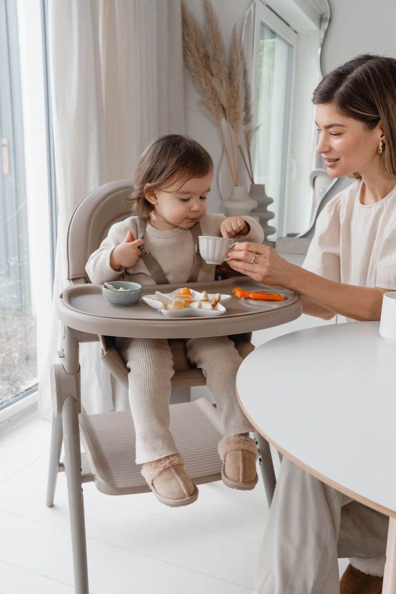 Стул-трансформер для кормления Anex OZY 40