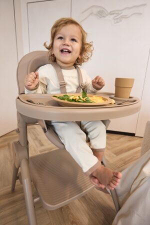 Стул-трансформер для кормления Anex OZY 78