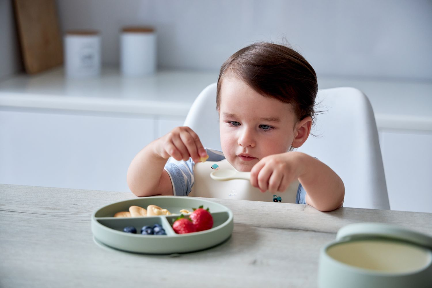 Секционная тарелка на присоске Edda, Пудра 3