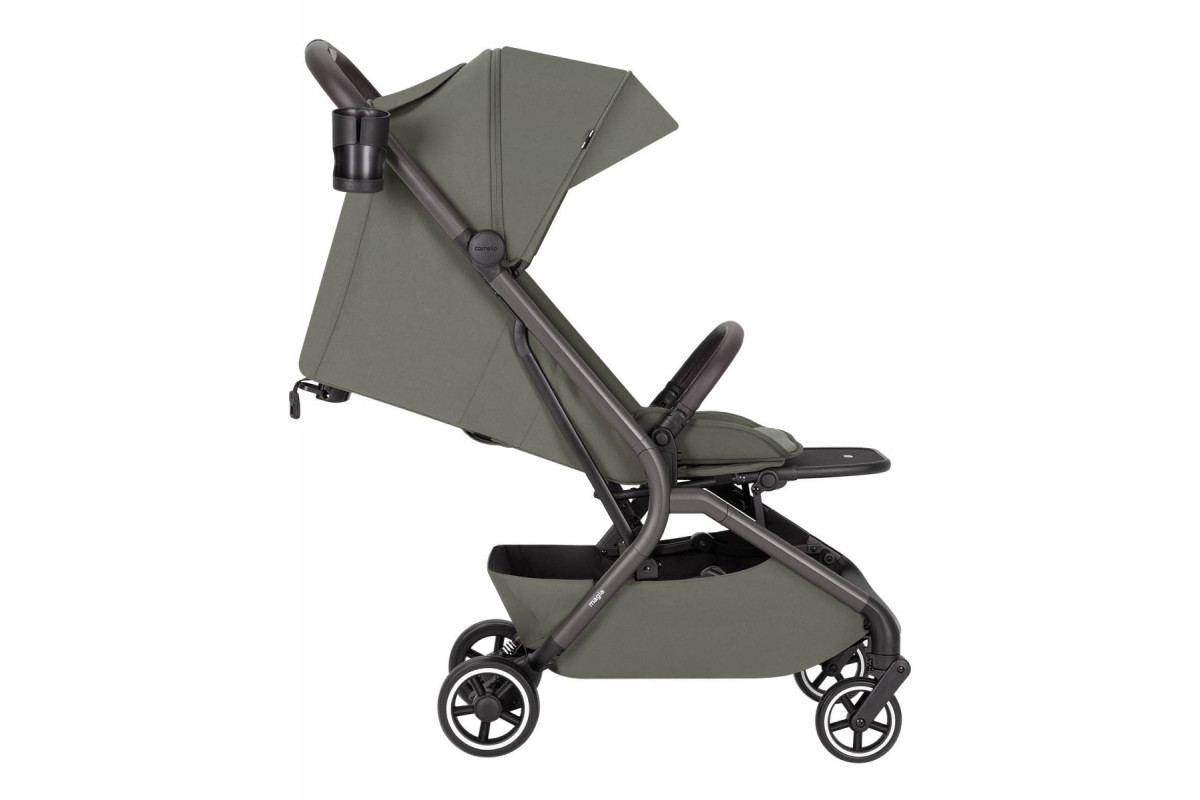 Коляска 2 в 1 Carrello Magia CRL-6555 8 malted green