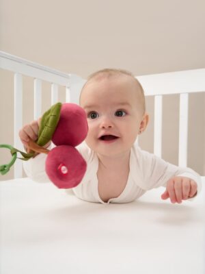 Игрушка-погремушка Happy baby подвесная Вишня 11 вишня шуршалка