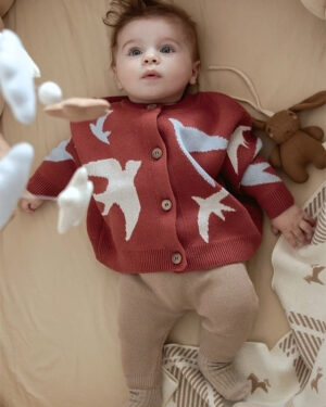 кардиган ласточка