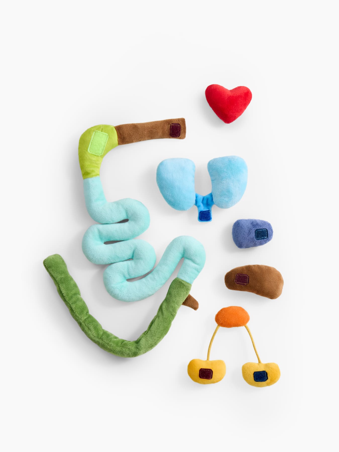 Мягкая игрушка Happy Baby ,FUNNY ANATOMY «ФАНИ АНАТОМИ»