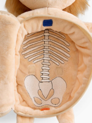 Мягкая игрушка Happy Baby ,FUNNY ANATOMY «ФАНИ АНАТОМИ»