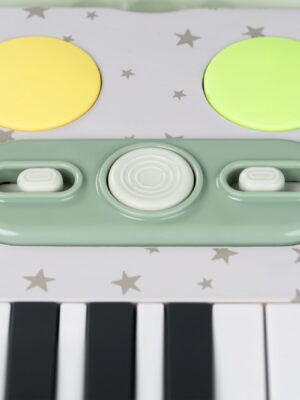 Набор музыкальных инструментов Happy Baby PIANO STAR «ПЬЯНО СТАР» 13 Набор музыкальных инструментов Happy Baby PIANO STAR «ПЬЯНО СТАР»