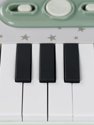 Набор музыкальных инструментов Happy Baby PIANO STAR «ПЬЯНО СТАР» 15 Набор музыкальных инструментов Happy Baby PIANO STAR «ПЬЯНО СТАР»