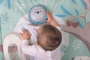 Игрушка-коврик Chicco музыкальный 2в1 "Сова" 8 Игрушка-коврик Chicco музыкальный 2в1 “Сова”