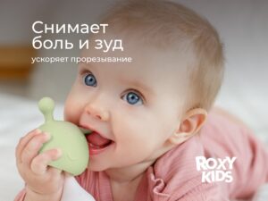 Прорезыватель Roxy Kids силиконовый Грибочек в футляре